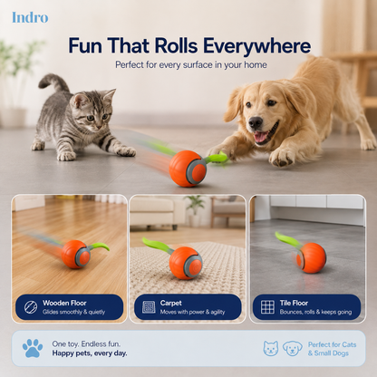 Rolling Ball for Pets | Design By Us For Your Pet | 50% Off — ₹1,099 Only