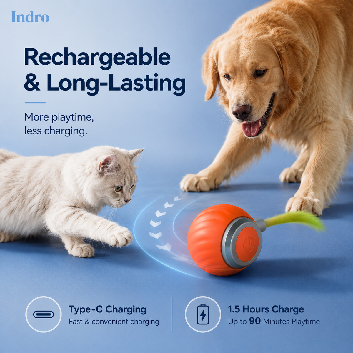 Rolling Ball for Pets | Design By Us For Your Pet | 50% Off — ₹1,099 Only