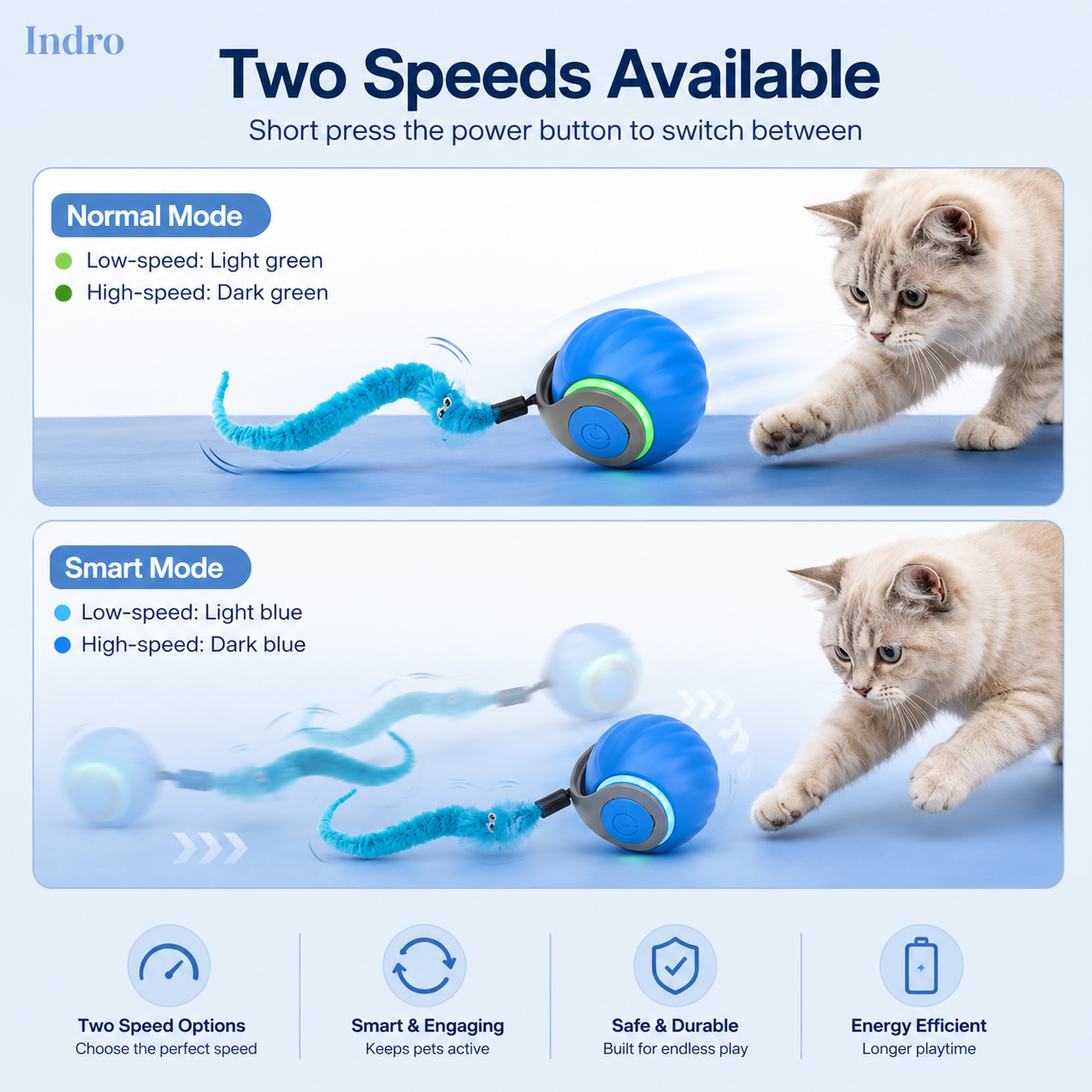 Rolling Ball for Pets | Design By Us For Your Pet | 50% Off — ₹1,099 Only