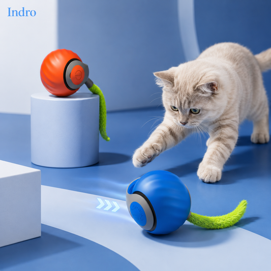 Rolling Ball for Pets | Design By Us For Your Pet | 50% Off — ₹1,099 Only
